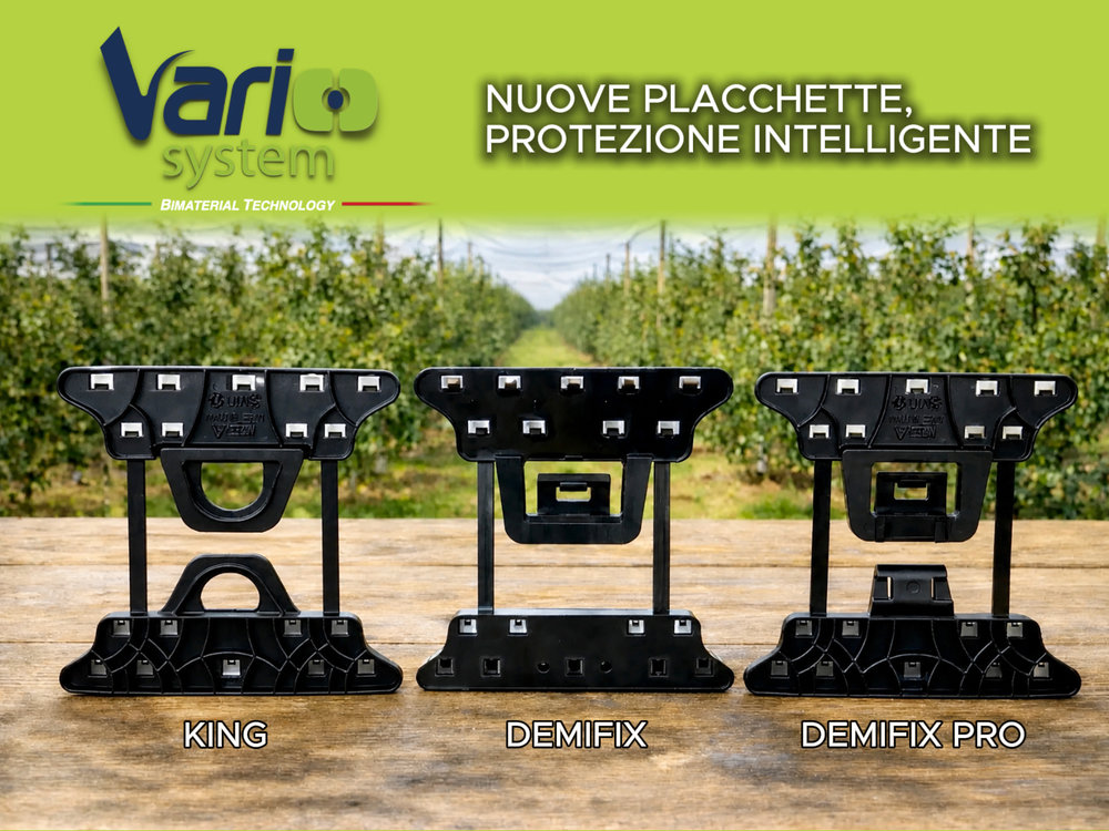NUOVE PLACCHETTE